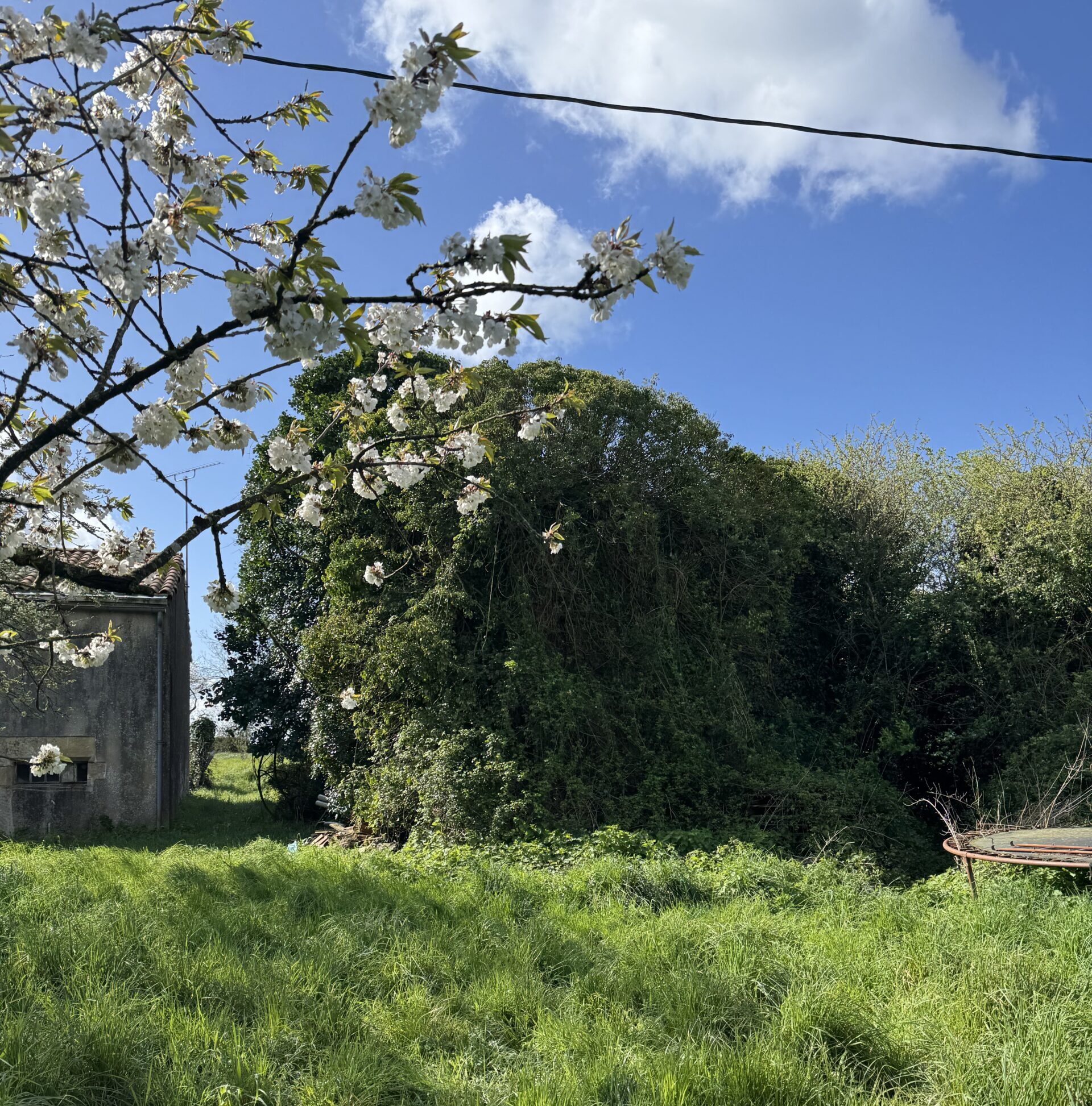 Chapelle et ruines du Grand Châtelier – Vendée